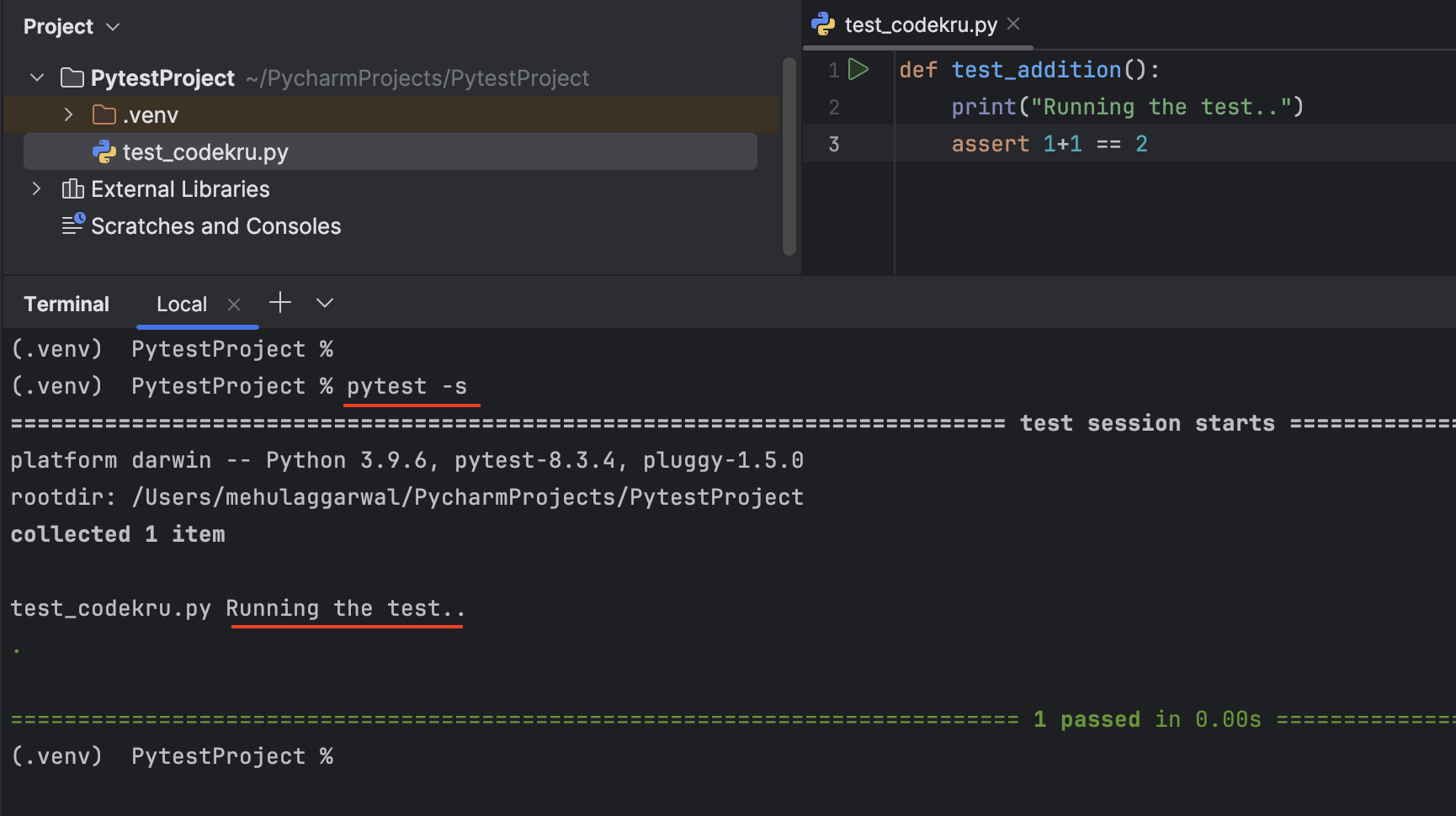 running test with pytest -s command